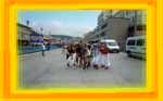 Bild17